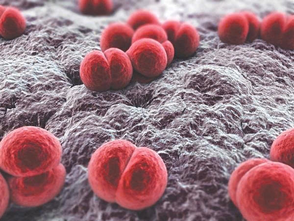 Ổ dịch viêm não mô cầu ở An Giang đã đóng, nguy cơ lây nhiễm vẫn hiện hữu